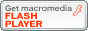 Scarica Macromedia Flash Player 8
